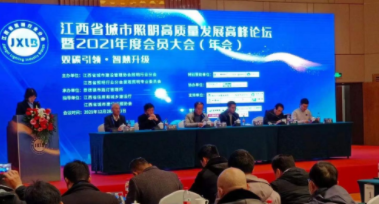 星空手机站登录入口-星空online(中国)受邀参加江西省城市照明高质量发展高峰论坛